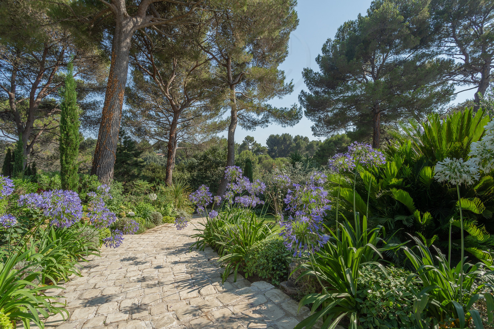 VILLA CONTEMPORAINE DE PRESTIGE